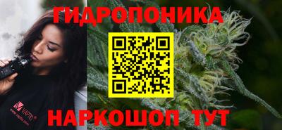 стаф Кинель