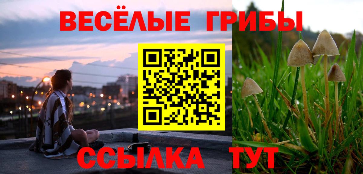 Котовск  цена   Вход с VPN  Галлюциногенные грибы Psilocybine cubensis 